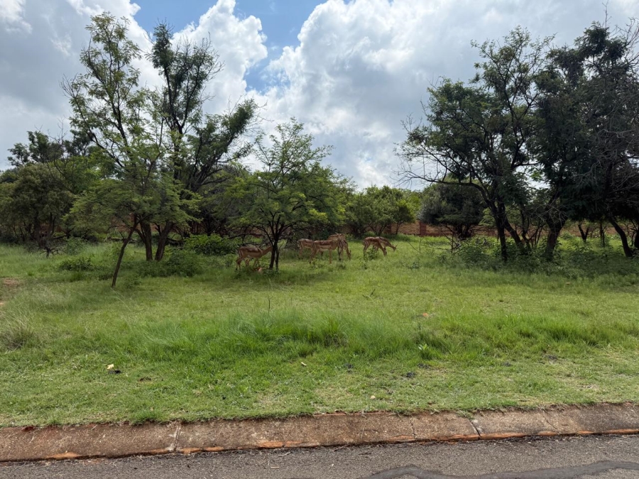 0 Bedroom Property for Sale in Buffelspoort Eco Estate North West